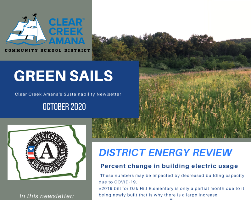 Green Sails Newsletter Image